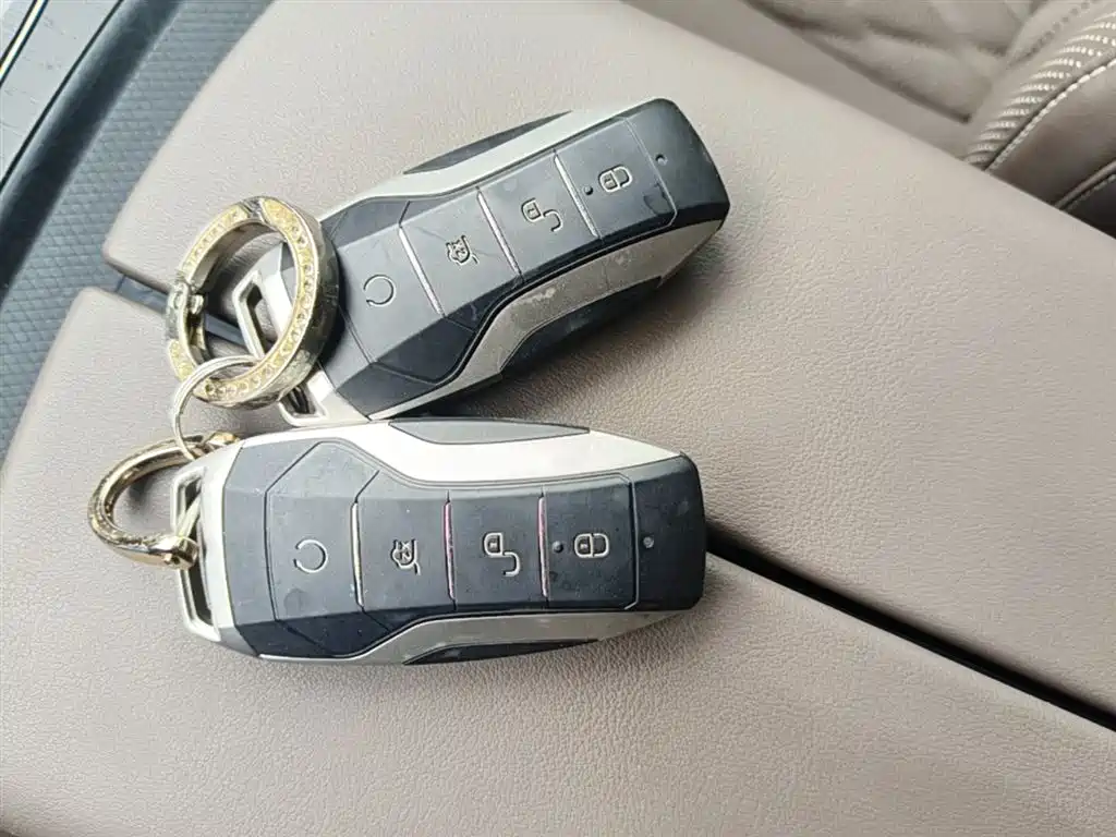 BYD Han 2020 DM AWD Performance Premium фото 9