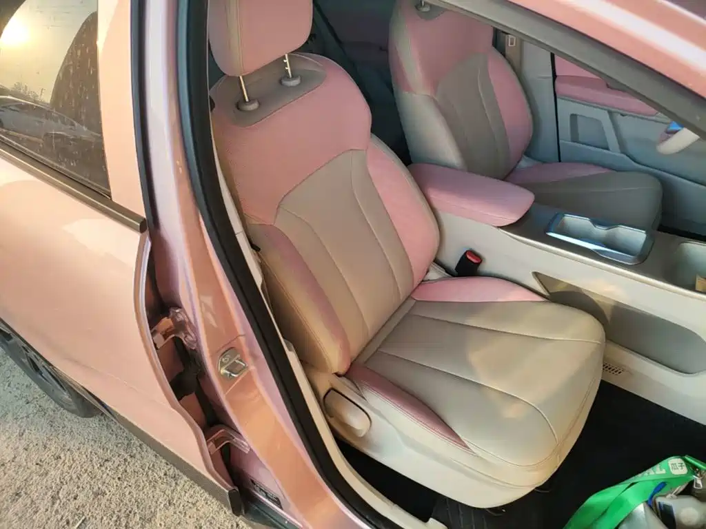 Geely Geometry E Firefly 2024 2024 Model 301km Starlight