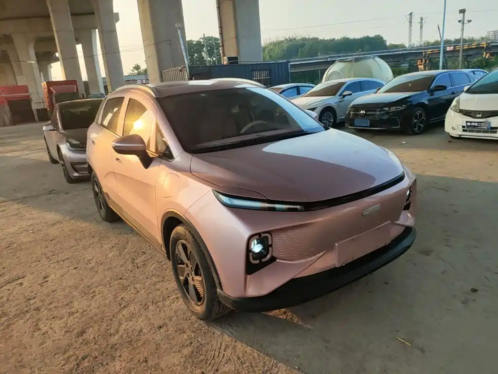 Geely Geometry E Firefly 2024 2024 Model 301km Starlight