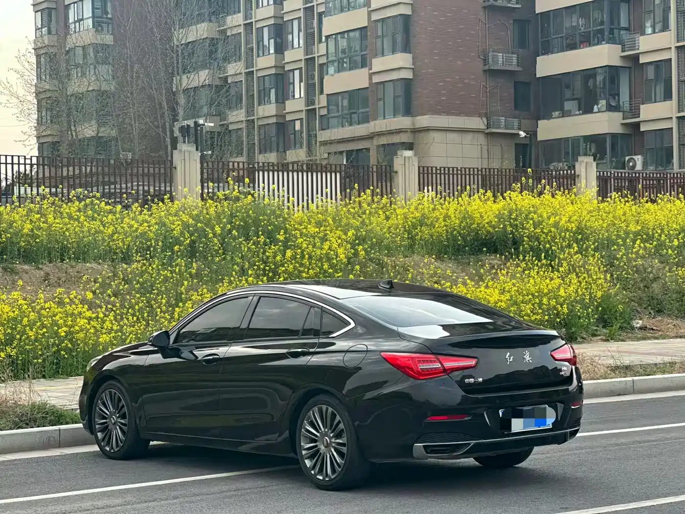 Hongqi H5 2019 30TD Smart Connect Rhythm Edition фото 7
