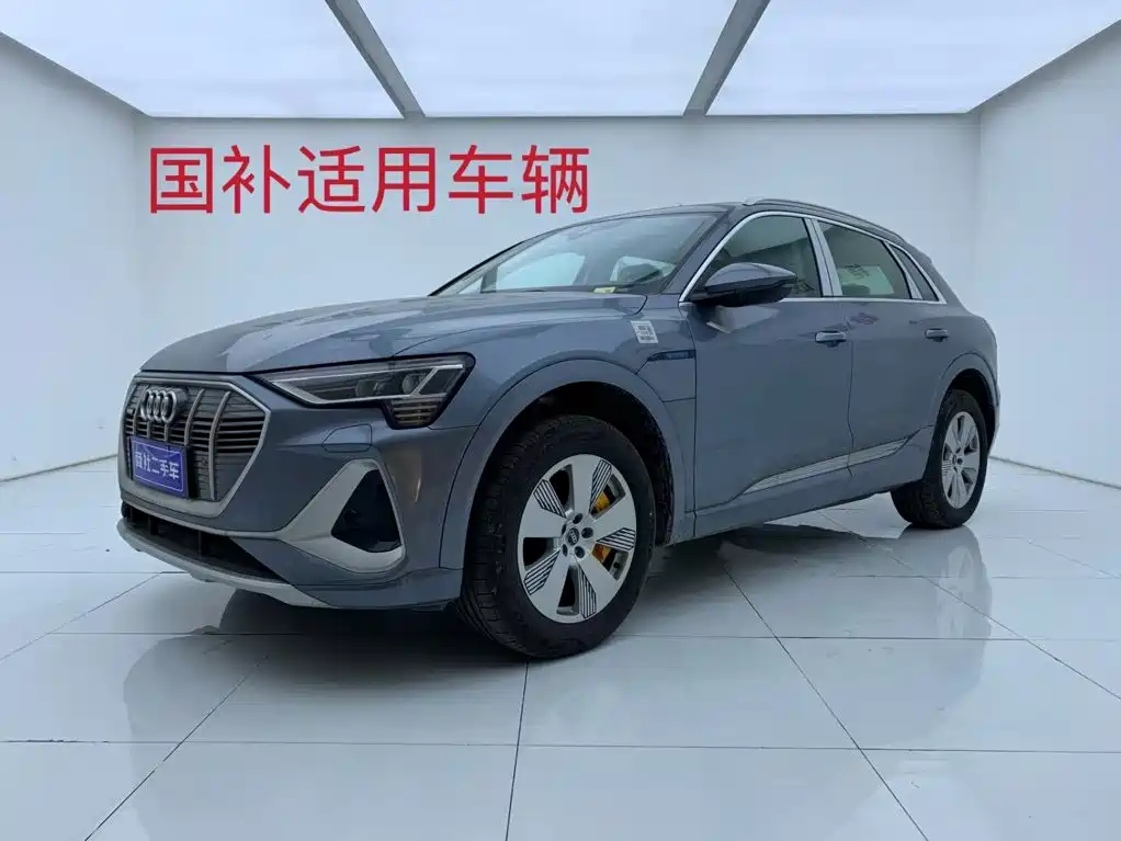 Audi e-tron 2026 2021 50 quattro Luxury