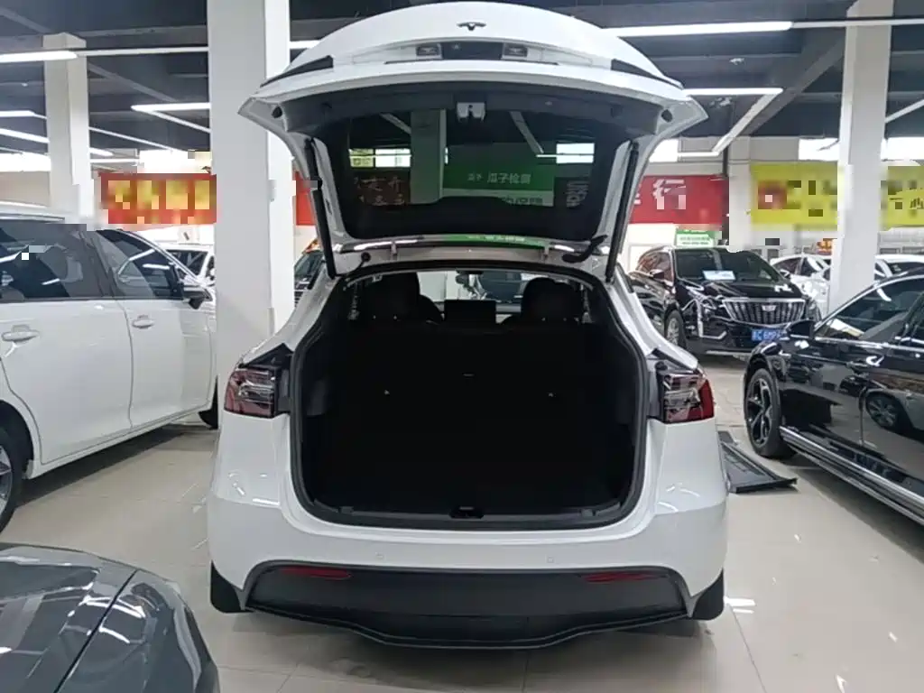 Tesla Model Y 2021 2021 Standard Range Rear-Wheel Drive