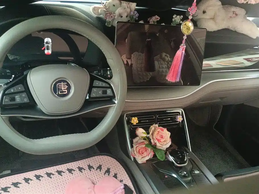 BYD Tang New Energy 2025 Smart Driving Edition DM-i 115KM Premium фото 11