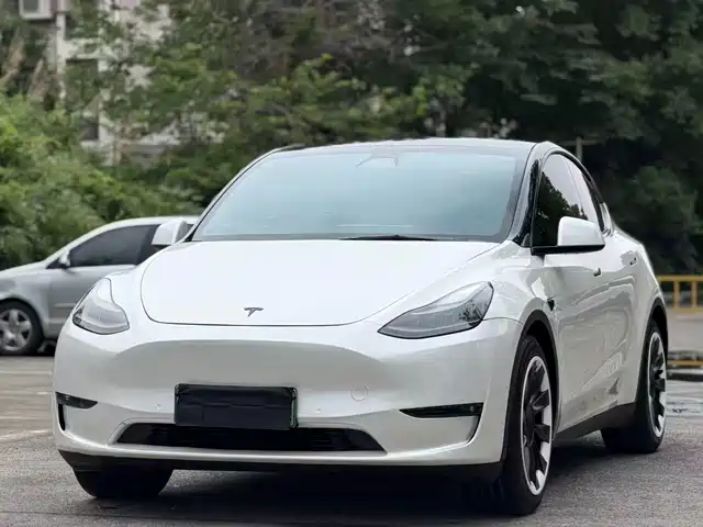 Tesla Model Y Стандартный запас хода, задний привод