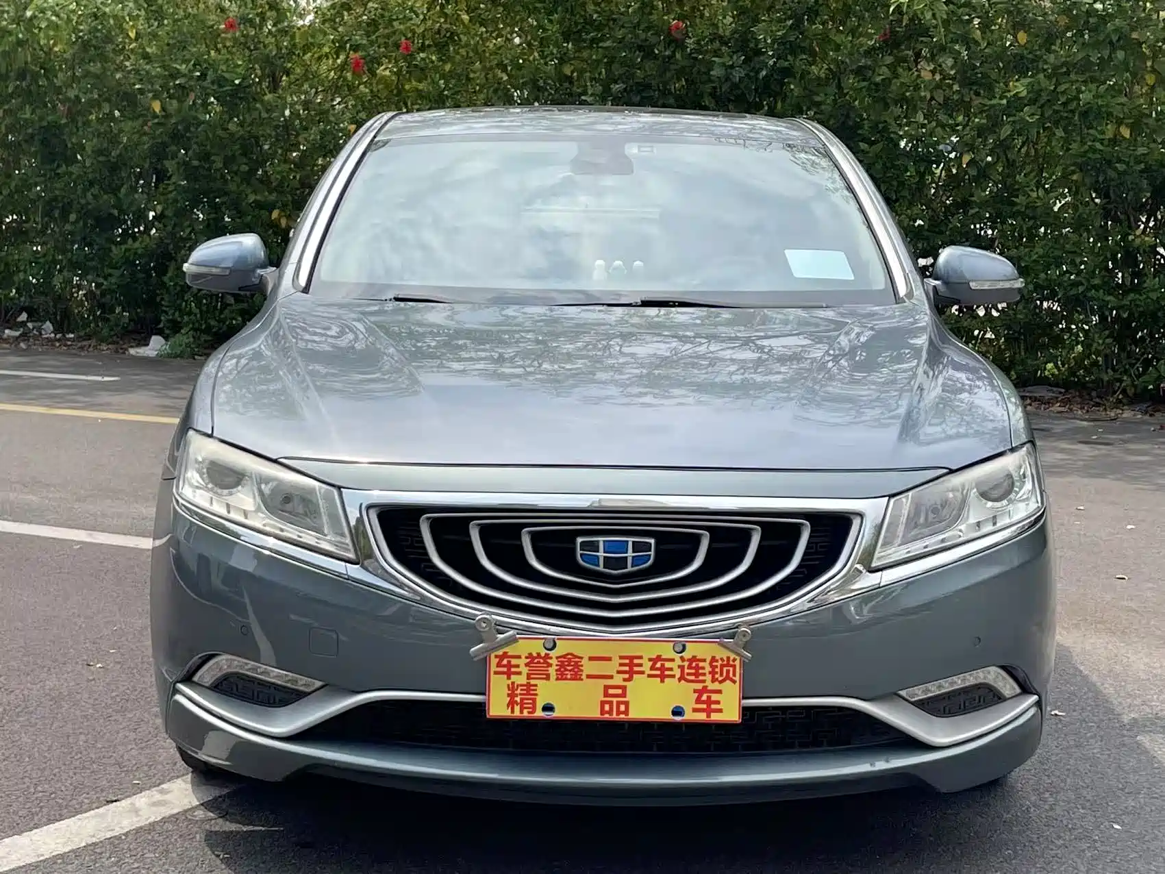 Фото 2 - Geely Borui