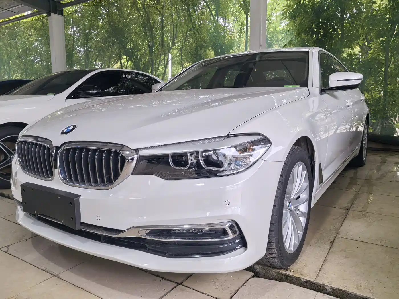 BMW 5 Series 2019 530Li Leading Luxury Package