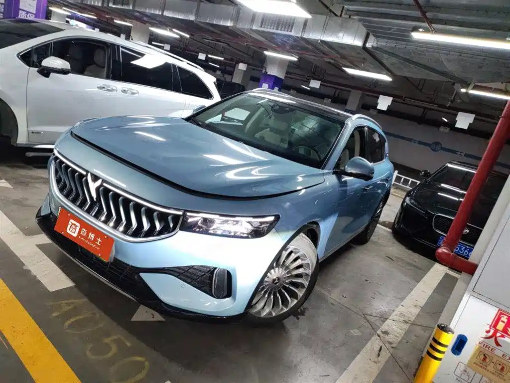 Voyah Auto VOYAH FREE 2021 AWD Standard Range Extender Exclusive Luxury Package фото 4