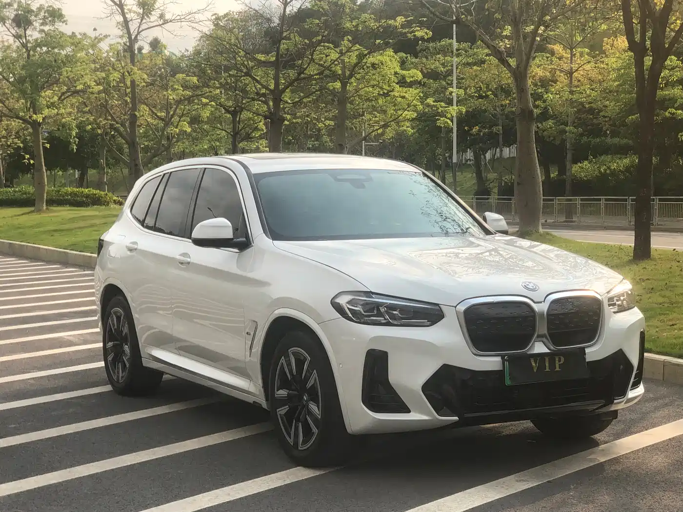 BMW IX3