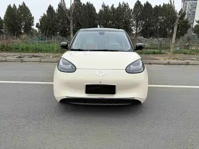 Wuling Bingo