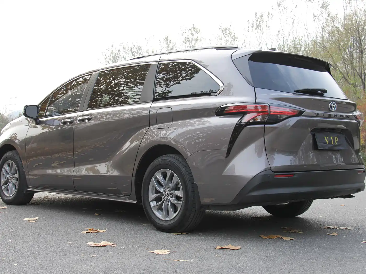 Toyota Sienna 2021 2.5L Hybrid Platinum Edition фото 6