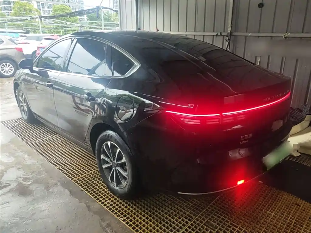 BYD Destroyer 05 2024 Glory Edition DM-i 55KM Luxury фото 5