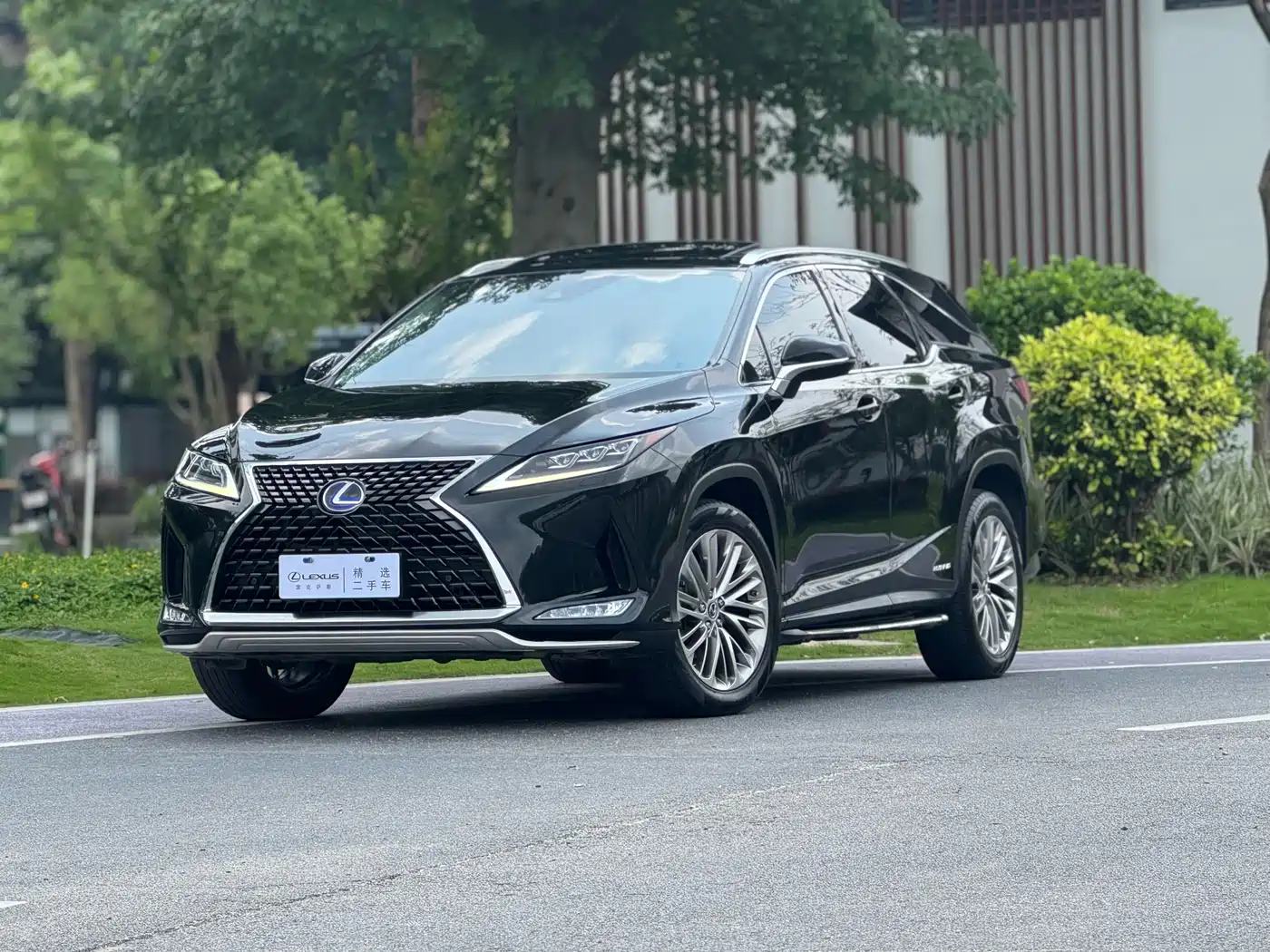 LEXUS RX