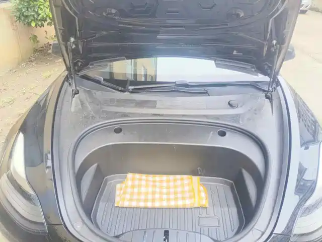 Tesla Model 3 2021 Standard Range Rear-Wheel Drive Upgrade — фото 3