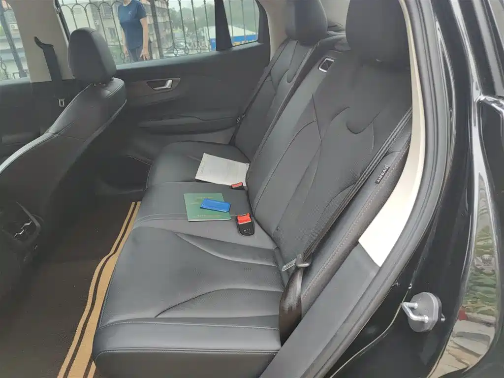 Hongqi E-QM5 2023 Facelift Basic Travel Edition фото 15