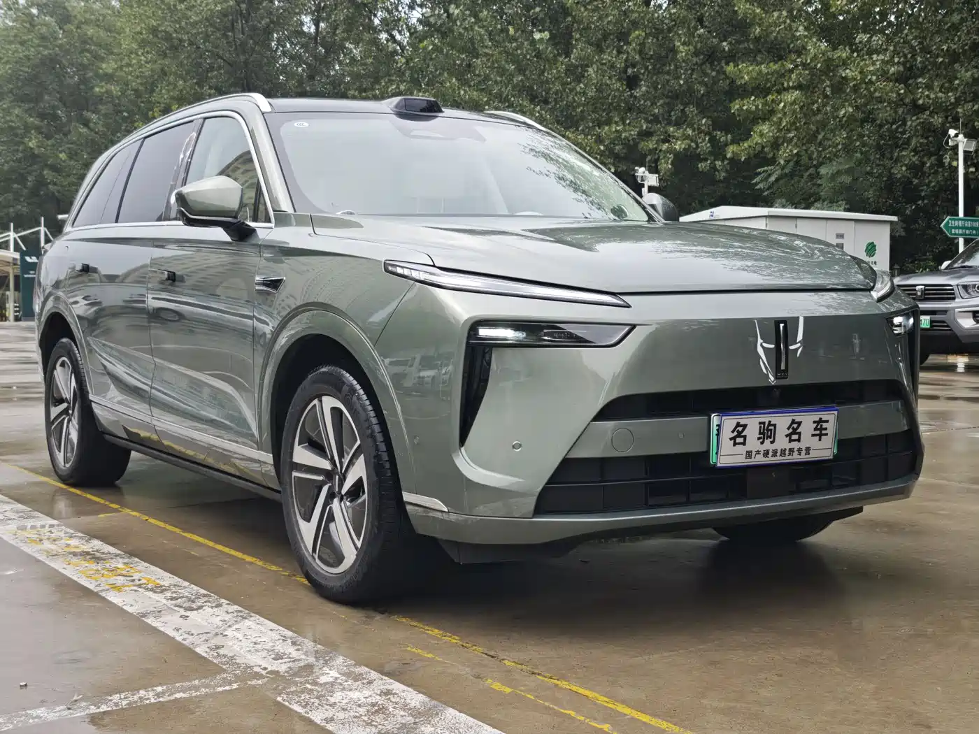 WEI PAI WEI BRAND BLUE MOUNTAIN