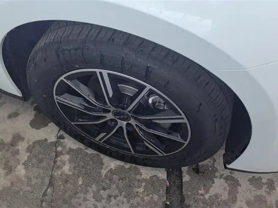 BYD Seal 06 New Energy 2024 DM-i 80KM Prestige фото 6