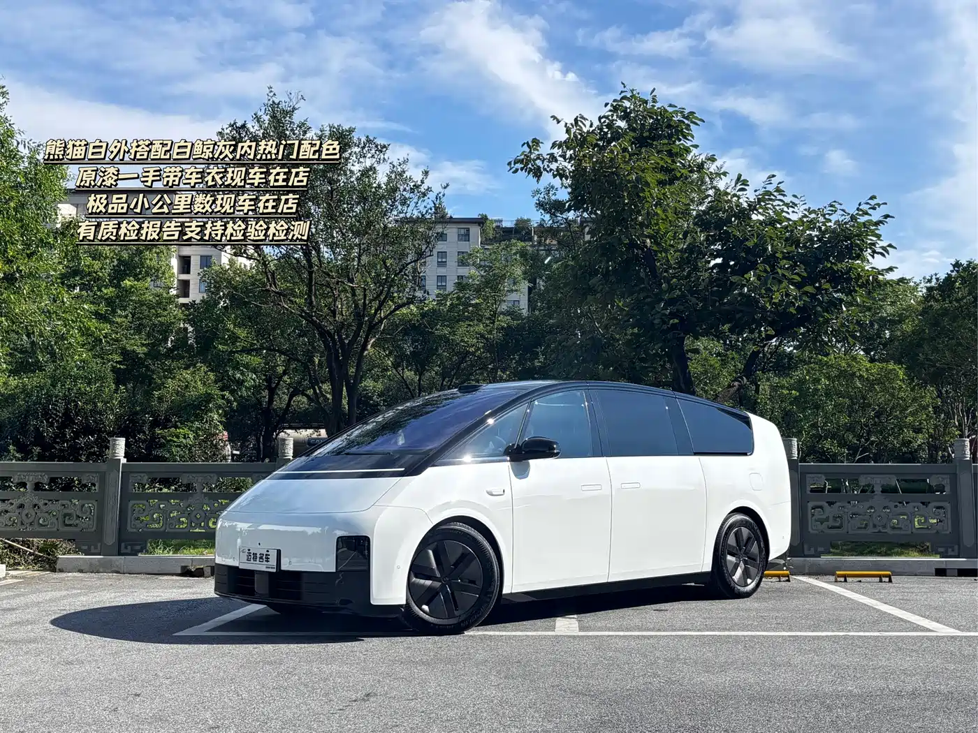 Li Auto MEGA 2025