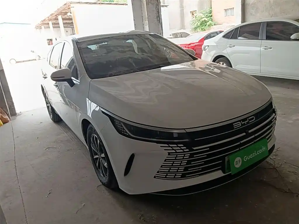BYD Destroyer 05 2024 Glory Edition DM-i 55KM Luxury фото 4