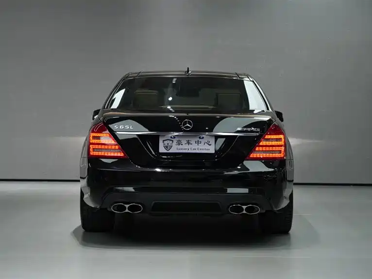 Mercedes-Benz S-Class AMG 2010 AMG S 65 фото 6
