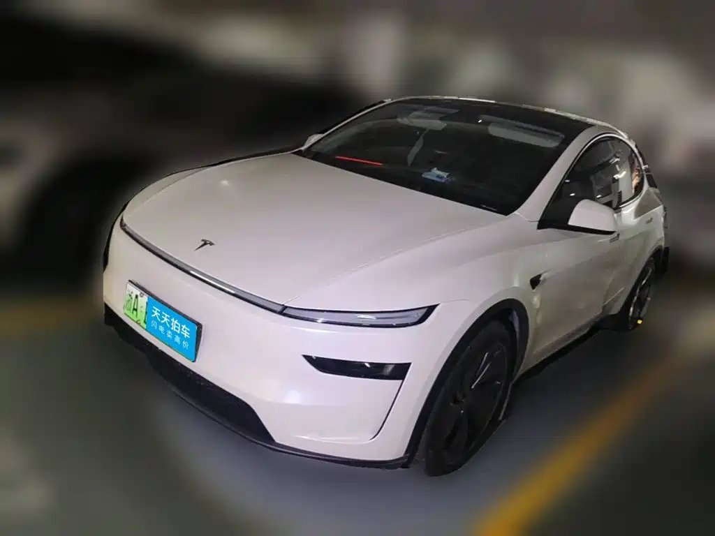 Tesla Model Y 2025 Model Long Range All-Wheel Drive Launch Edition