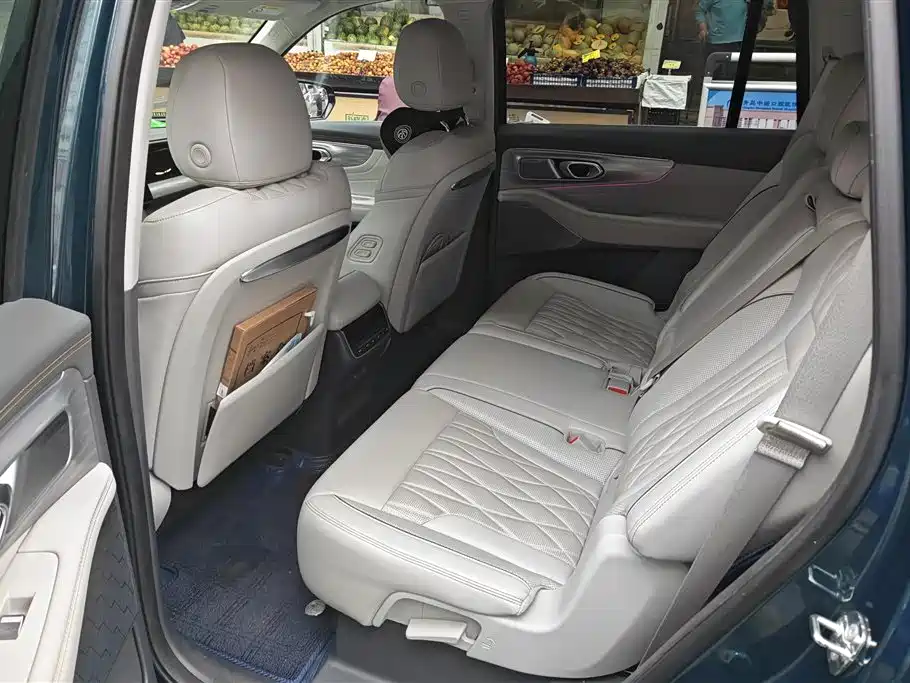 GAC Trumpchi Trumpchi GS8 2022 Pilot Series 2.0TGDI 2WD Premium Edition (6-Seater) фото 11