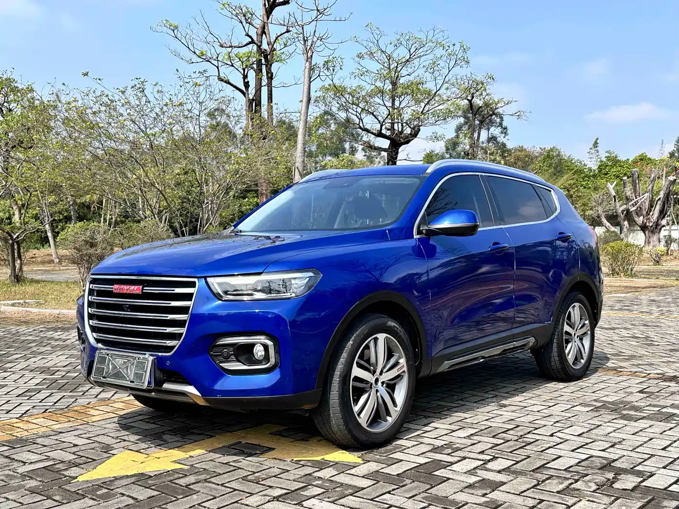 Haval H6 2018 Red Label 2.0T Auto Luxury