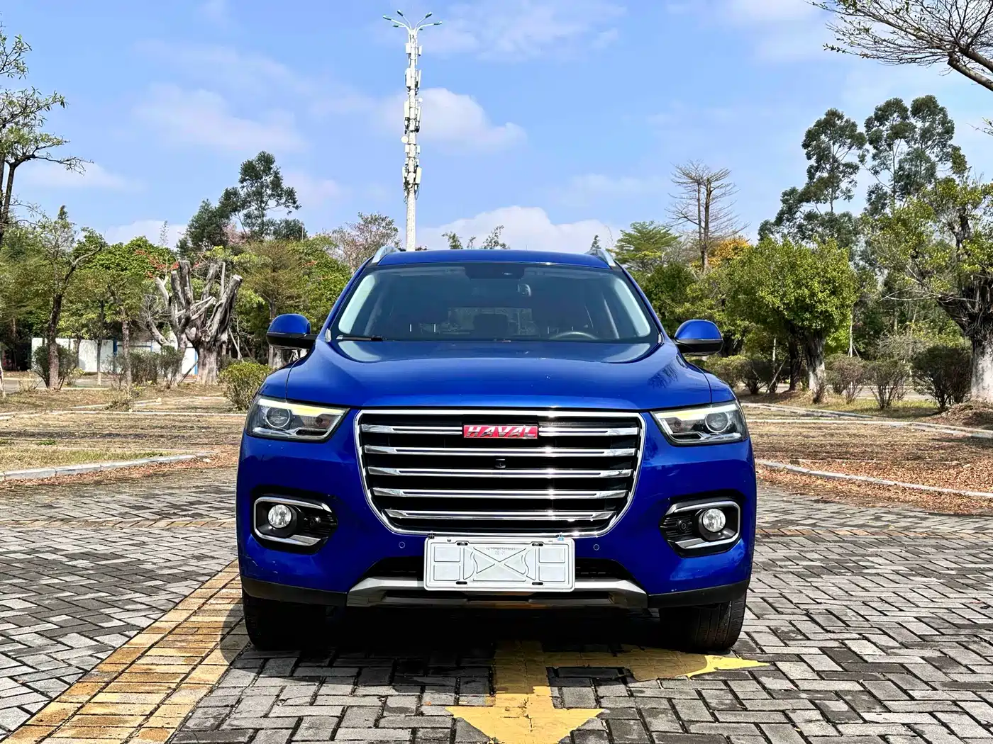 Haval H6 2018 Red Label 2.0T Auto Luxury фото 2