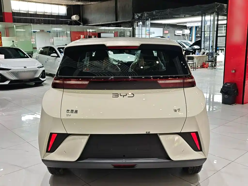 BYD Seagull 2026 2025 Smart Drive Edition 305km Vitality Version