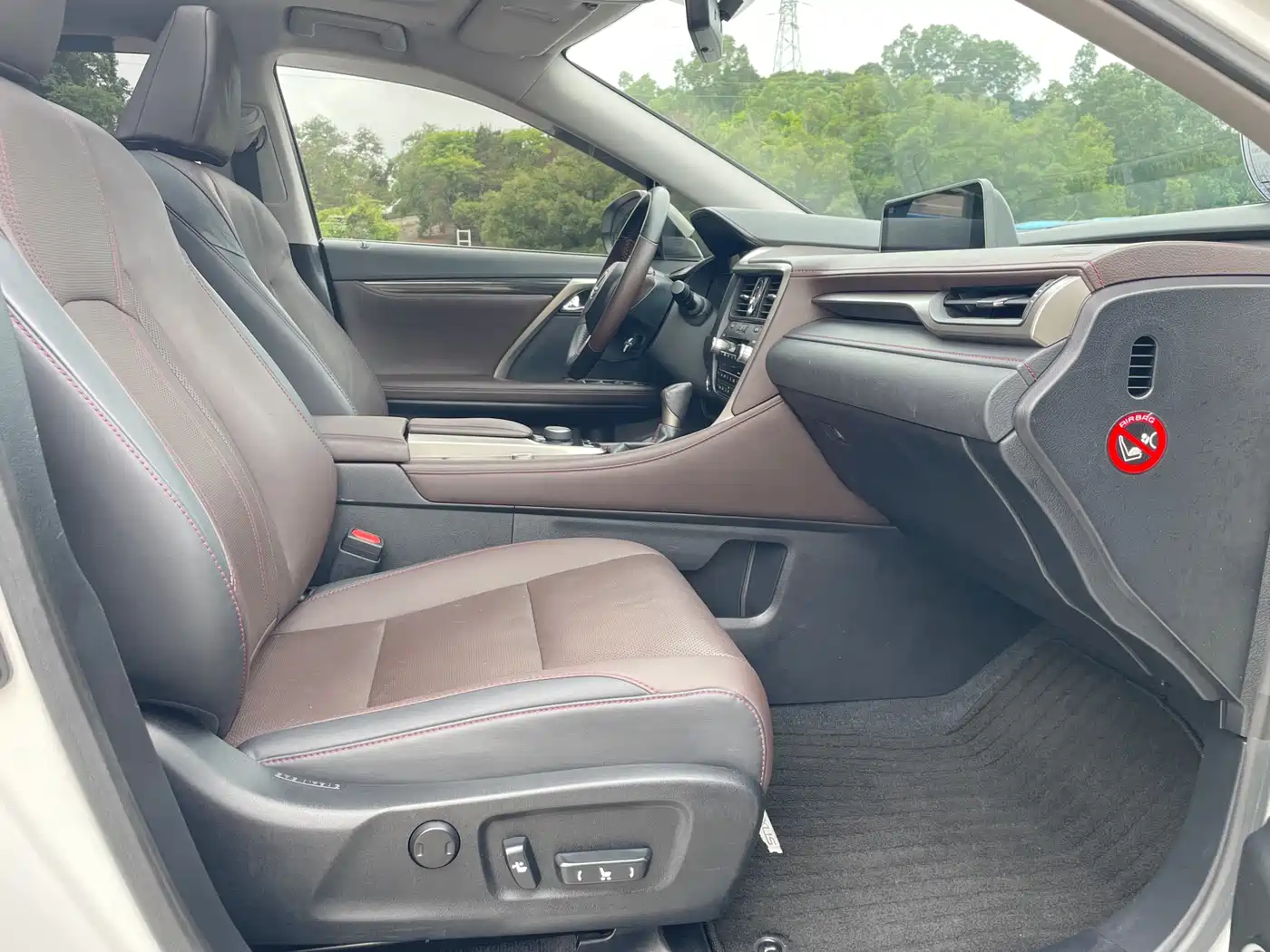 Lexus RX 2016 300 4WD Elegance Edition (China V) фото 5