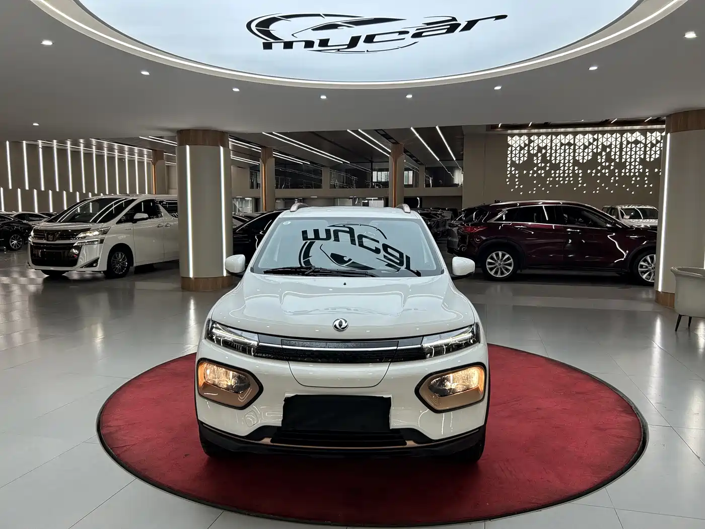 Dongfeng Yipai Nano BOX 2024 2022 Wind Chaser Edition 351KM Advanced
