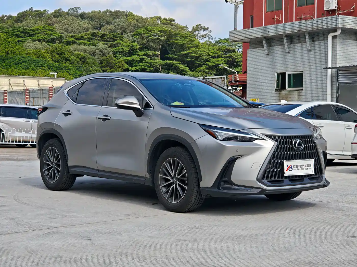 Lexus NX 2024 2023 260 FWD Dynamic Edition