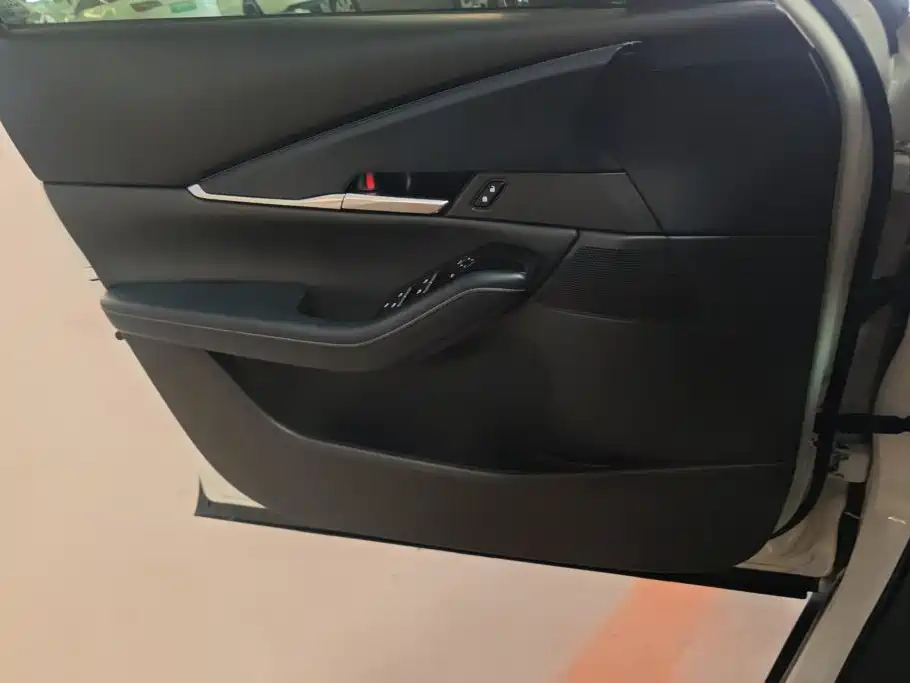 Mazda CX-30 2022 2021 2.0L Auto Elegant Joy Type