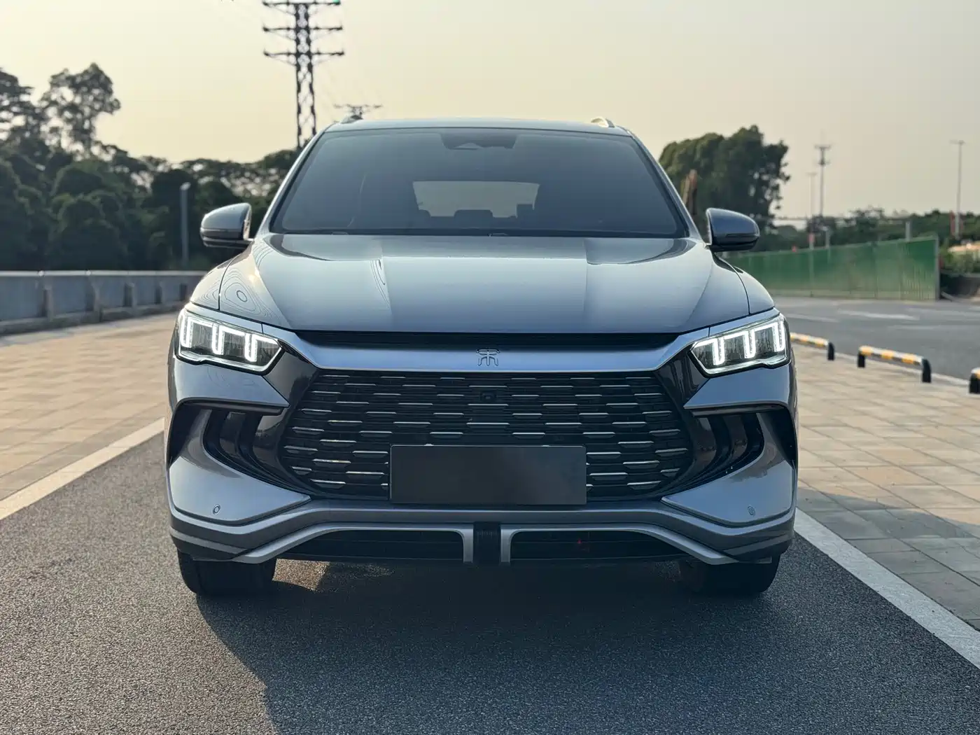 BYD Song Pro New Energy 2023 Champion Edition DM-i 110KM Excellence фото 2