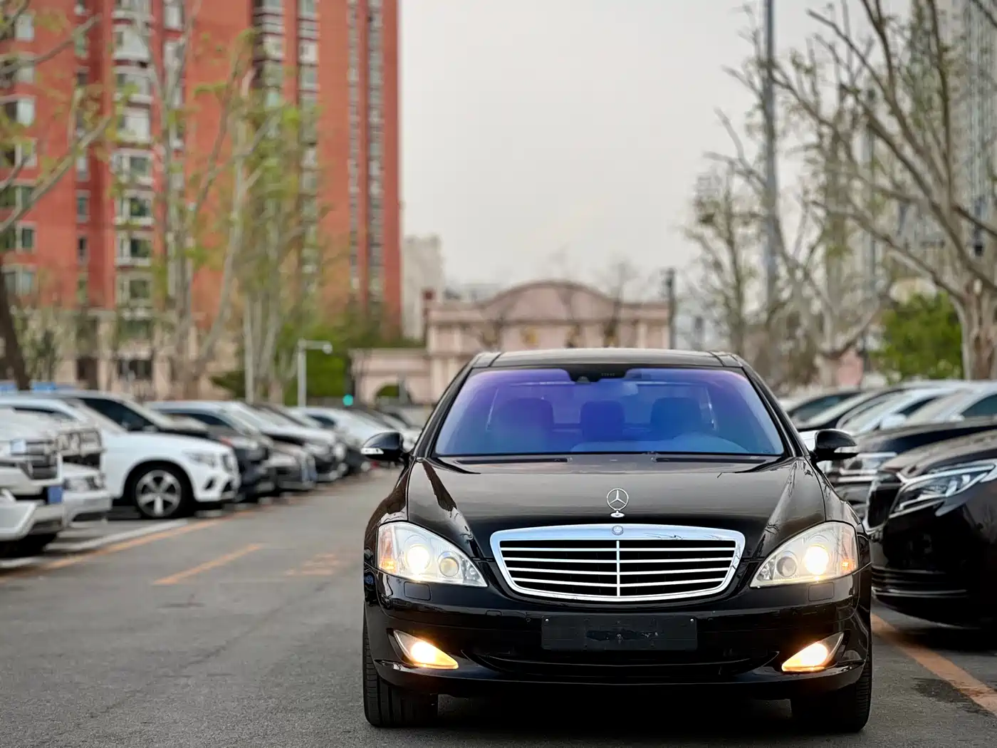 Mercedes-Benz S-Class 2008 Model S 600 L фото 2
