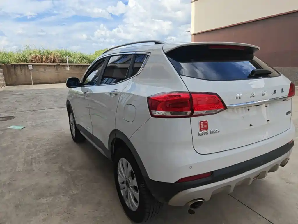 صورة 5 - Haval H2s
