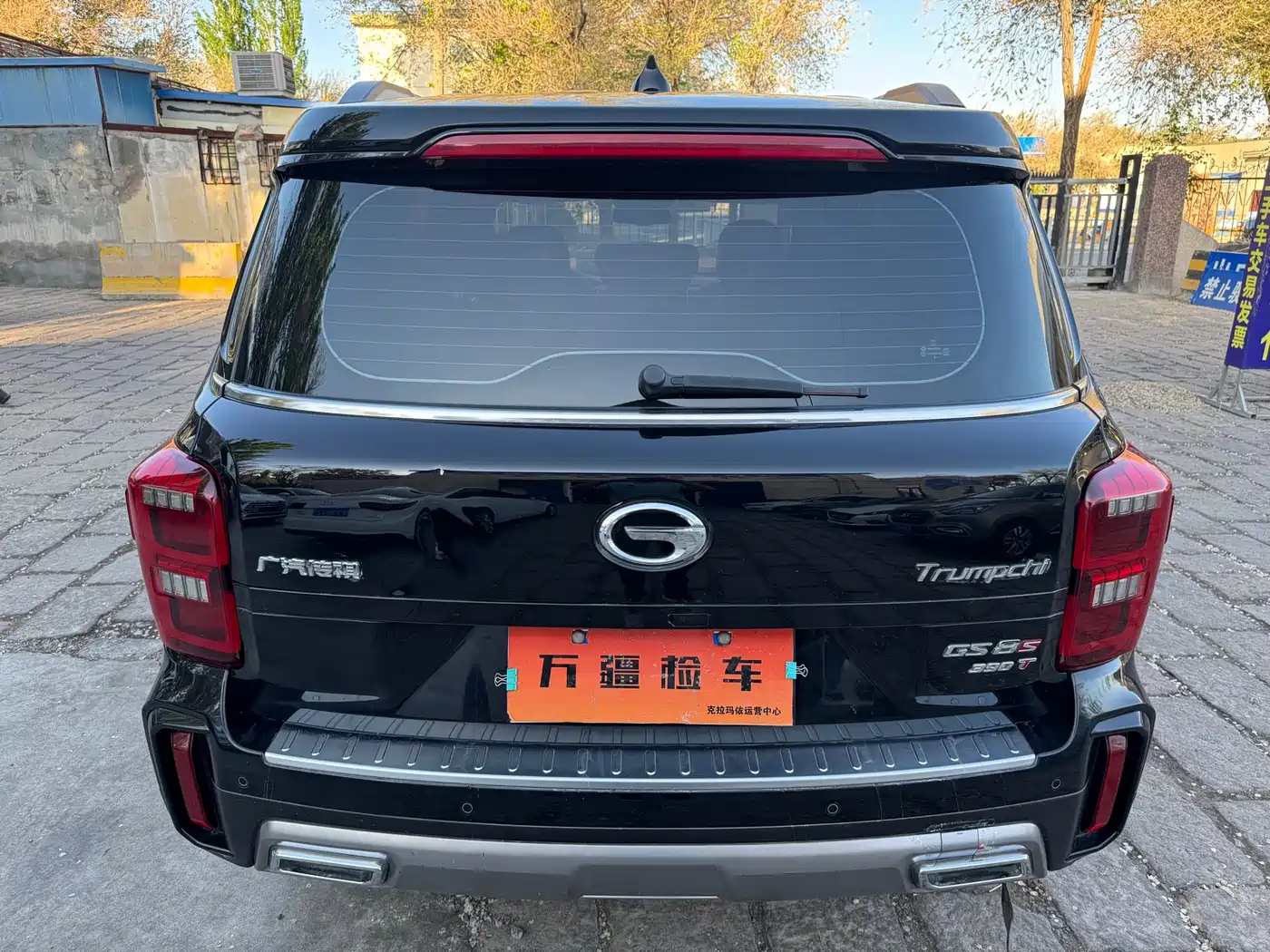 GAC Trumpchi Trumpchi GS8 2020 Model 390T FWD Luxury (5-seater) фото 8