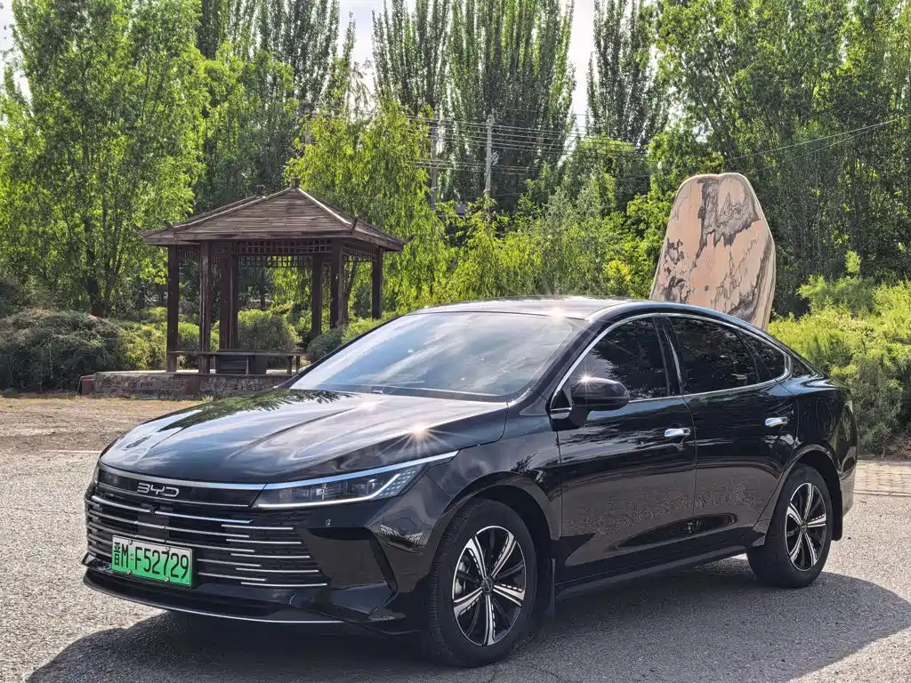 BYD Destroyer 05 2024