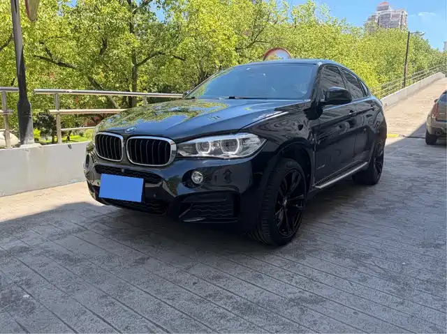 BMW X6 2019