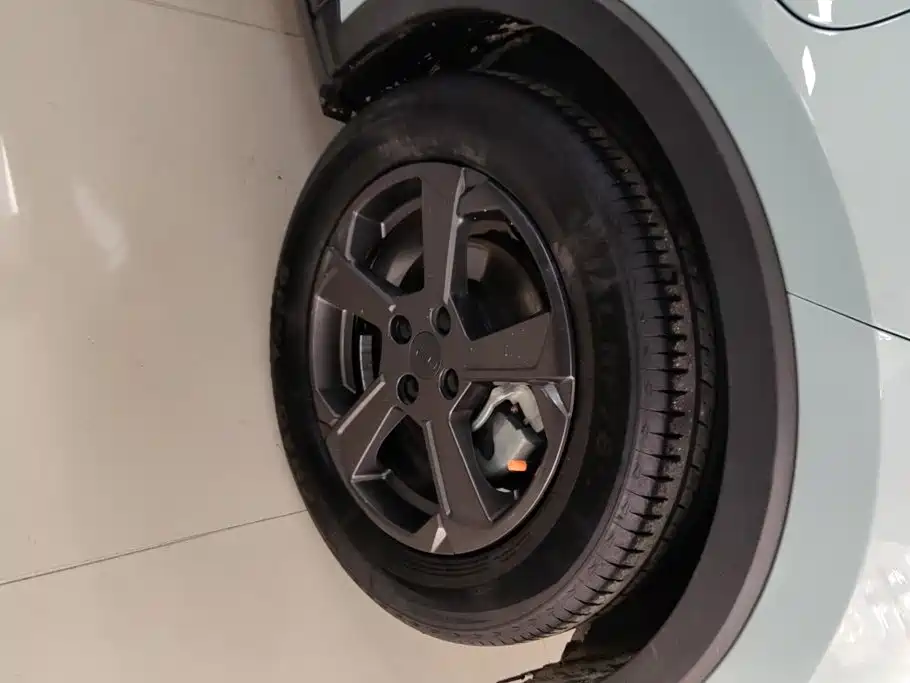 Geely Geometry E Firefly 2022 2022 320KM Well-behaved Tiger 4-seater