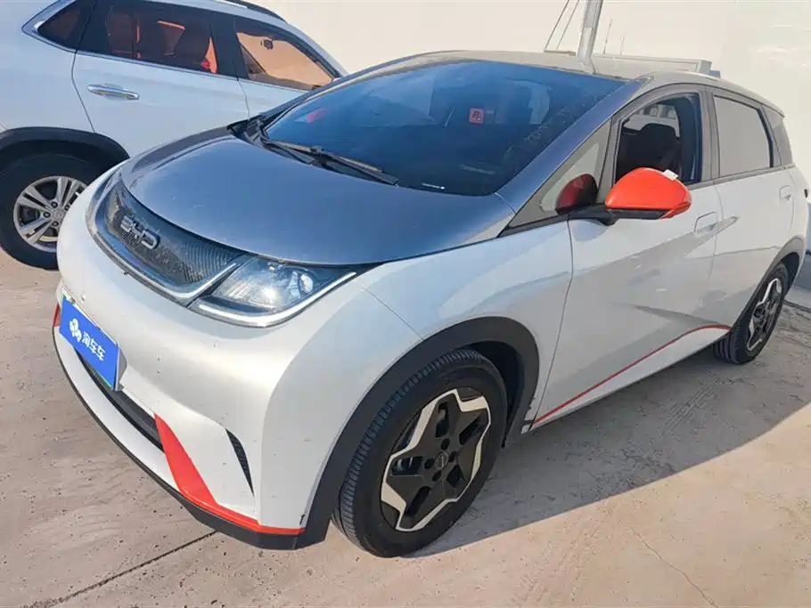 BYD Dolphin 2021 Model 405km Fashion Edition