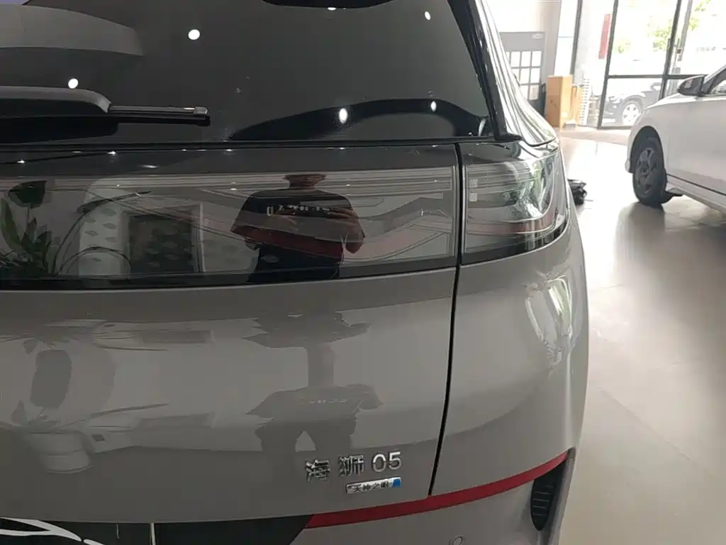 BYD Hai Shi 05 EV 2025 520KM Flagship Smart Navigation Edition фото 8