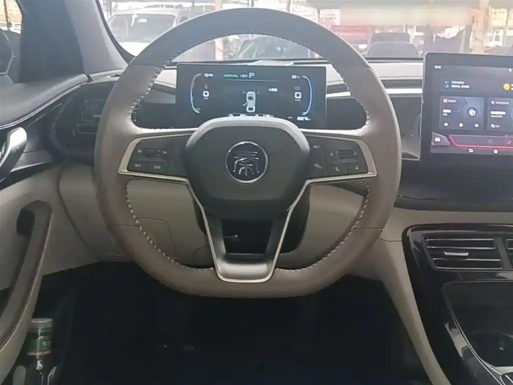 BYD Qin PLUS 2024 Glory Edition DM-i 55KM Leading фото 11
