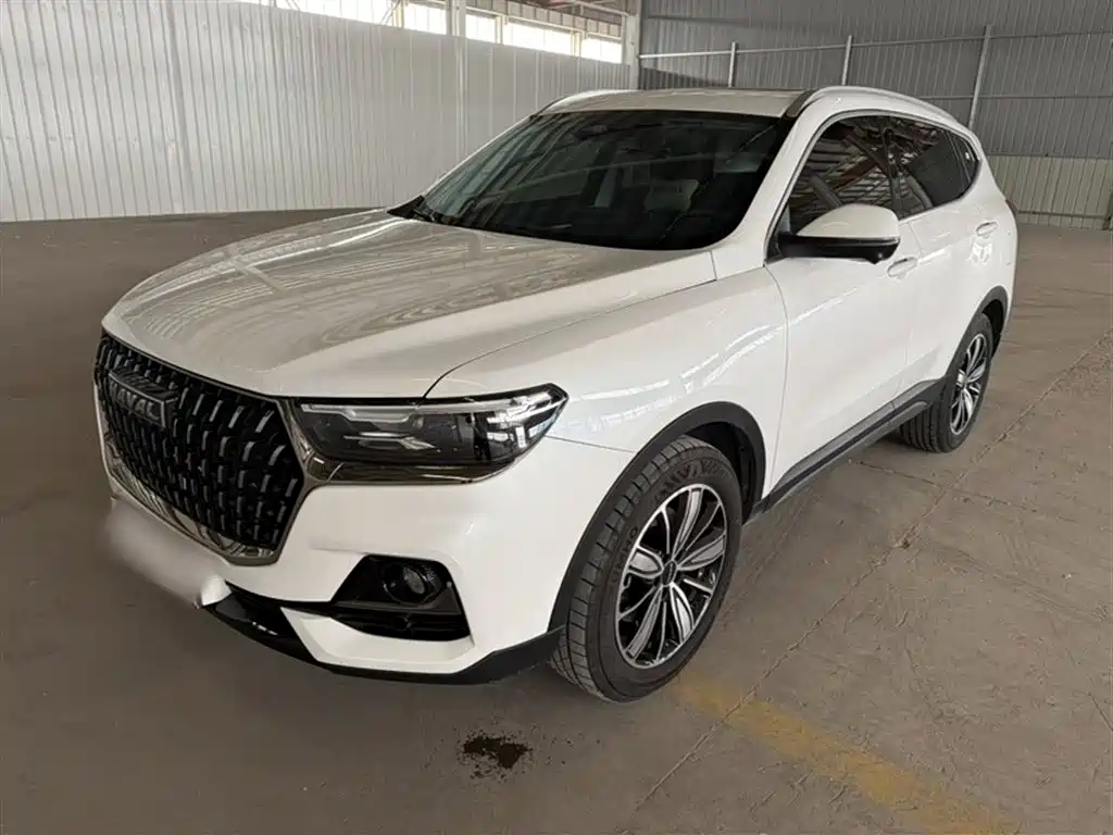 Haval H6 2023 National Trend Edition 1.5T Automatic Champion фото 3