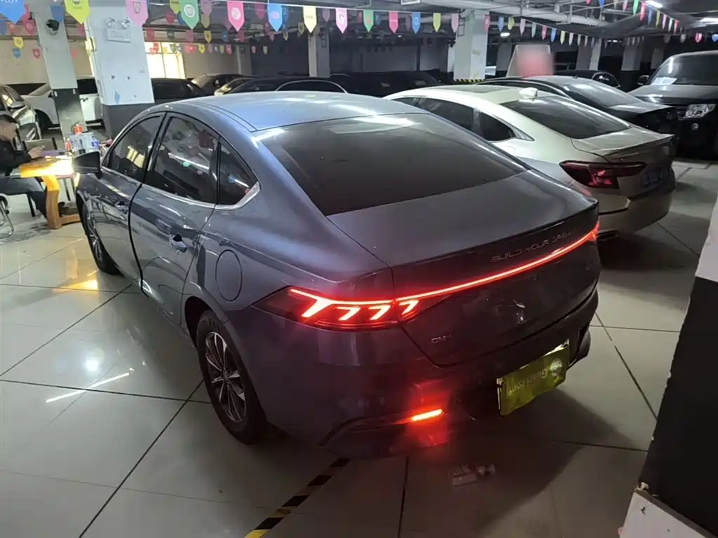 BYD Qin PLUS 2024 Glory Edition DM-i 55KM Leading фото 5