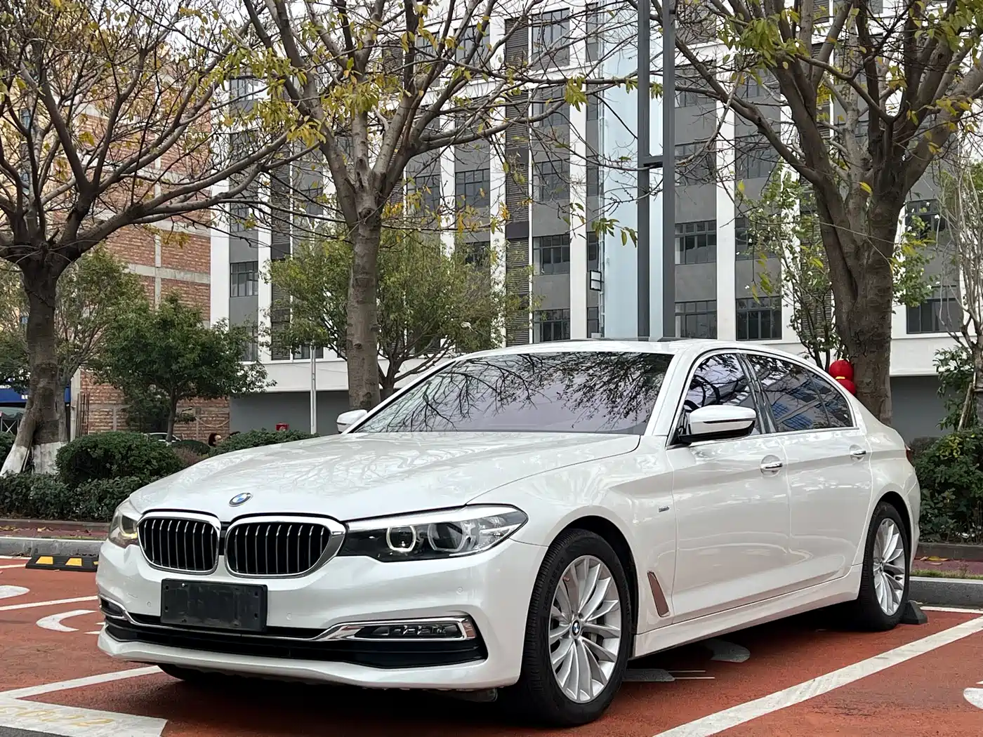 BMW 5 Series 2018 530Li Leading Luxury Package