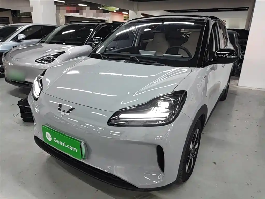 Wuling Motors Wuling Binguo PLUS 2024 Model 330km 5-Seater