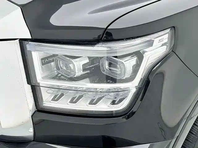 Tank 500 2023 3.0T Business Edition (7-seater) фото 26