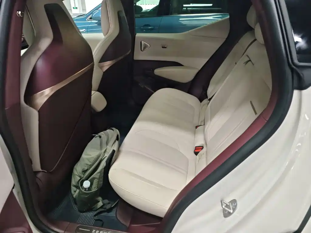 ZEEKR X 2025 2025 5-Seater RWD Edition