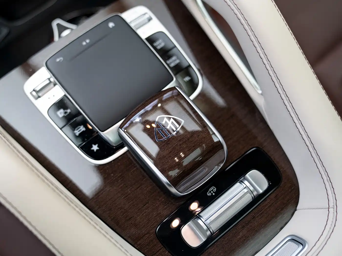 Mercedes-Benz Maybach GLS 2021 GLS 600 4MATIC Ritual Edition фото 13