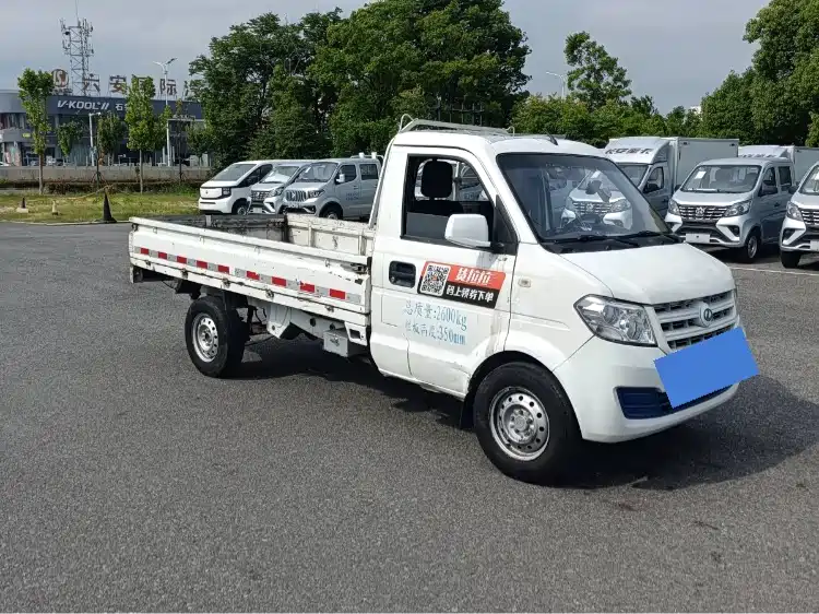 Ruichi New Energy EC31 2023 2021 Long Range Cargo Version 41.932kWh
